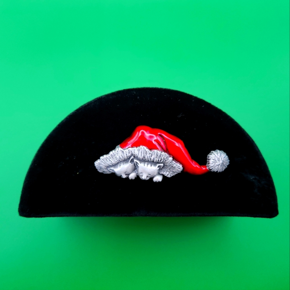 Vintage Santa Hat with Kittens Brooch
